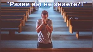 Размышление и стихотворение Светланы Тимохиной