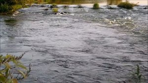 ВРЕМЯ ПЛОХИХ ПРИМЕРОВ | ДРАМЫ МУЖСКОЙ ПОВСЕДНЕВНОСТИ | МУЖСКОЙ КАНАЛ Трэш Labs