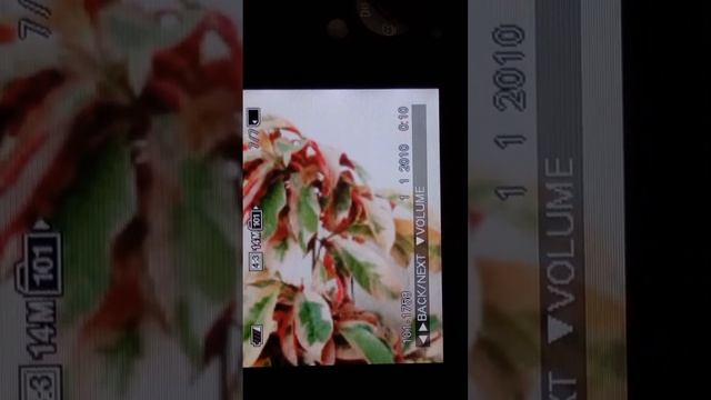 SHORT VIDEO OF SONY DSC-W320 CAMERA | TECHIFY | смотреть онлайн