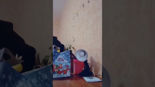 поддержите такой формат видео лайком смотреть онлайн