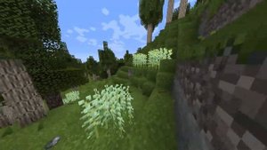 Гайд для новичка TerraFirmaCraft #2 (Еда и Костер)