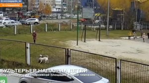 Собака напала на детей!!!