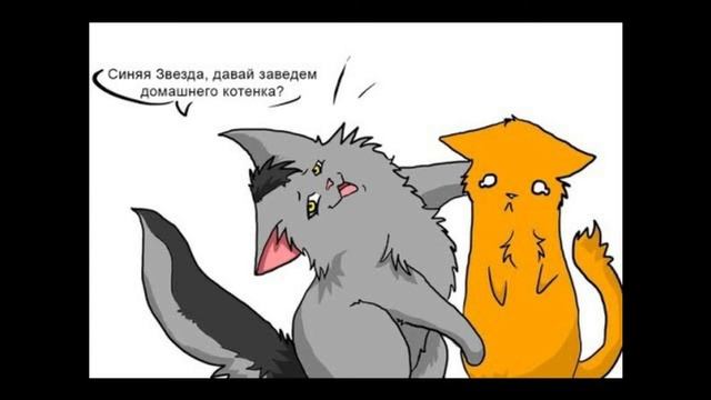 Коты Воители