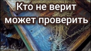 Клещ продолжает сыпаться.Средство работает.