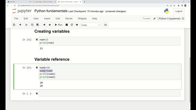 Python Basics: Adding Comments, Defining Variables, and Constants