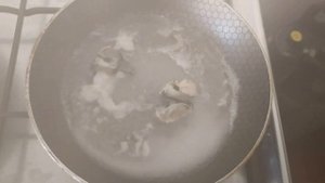 Тридакны в Хургаде. Можно ли есть этих моллюсков?