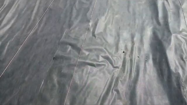 Как я провожу посадку клубники. Пошаговая инструкция для начинающих дачников. смотреть онлайн