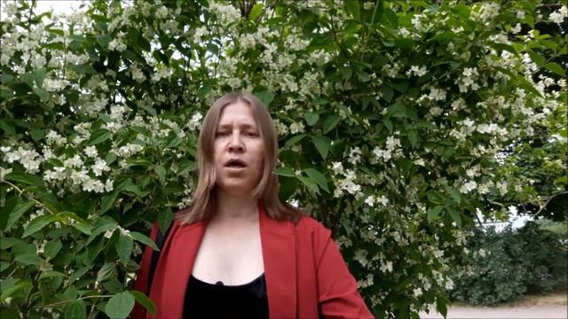 Самадхи в йоге смотреть онлайн