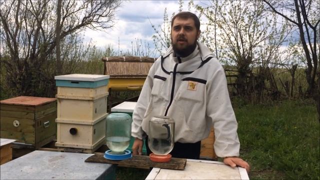 Эксперимент. Соленая или пресная вода? Что выбрали пчелы? смотреть онлайн