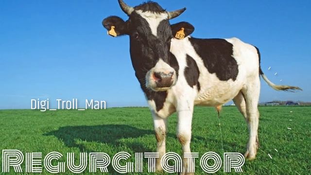 Regurgitator смотреть онлайн