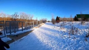 ОБЫЧНАЯ КАНАДА/ ПРОГУЛКА ПО ГОРОДУ МИССИСАГА(Mississauga) И ВИНДЗОР(Windsor) Онтарио, Канада