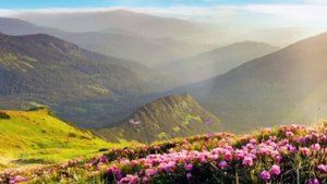 Магические звуки флейты Музыка для души и расслабления/Magic sounds of flute Music for the soul