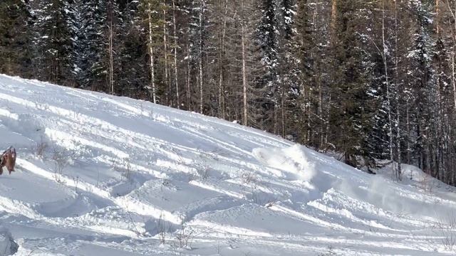 На снегоходе BRP Lynx commander 600 sdi в гору. смотреть онлайн