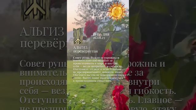 Значение руны АЛЬГИЗ перевёрнутая в комментариях
