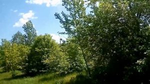 Славгород, Алтайский край - Весна/Парк