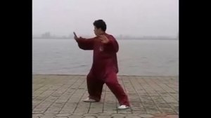 Chen Yu 83 Form/Чэнь Юй 83 Форма