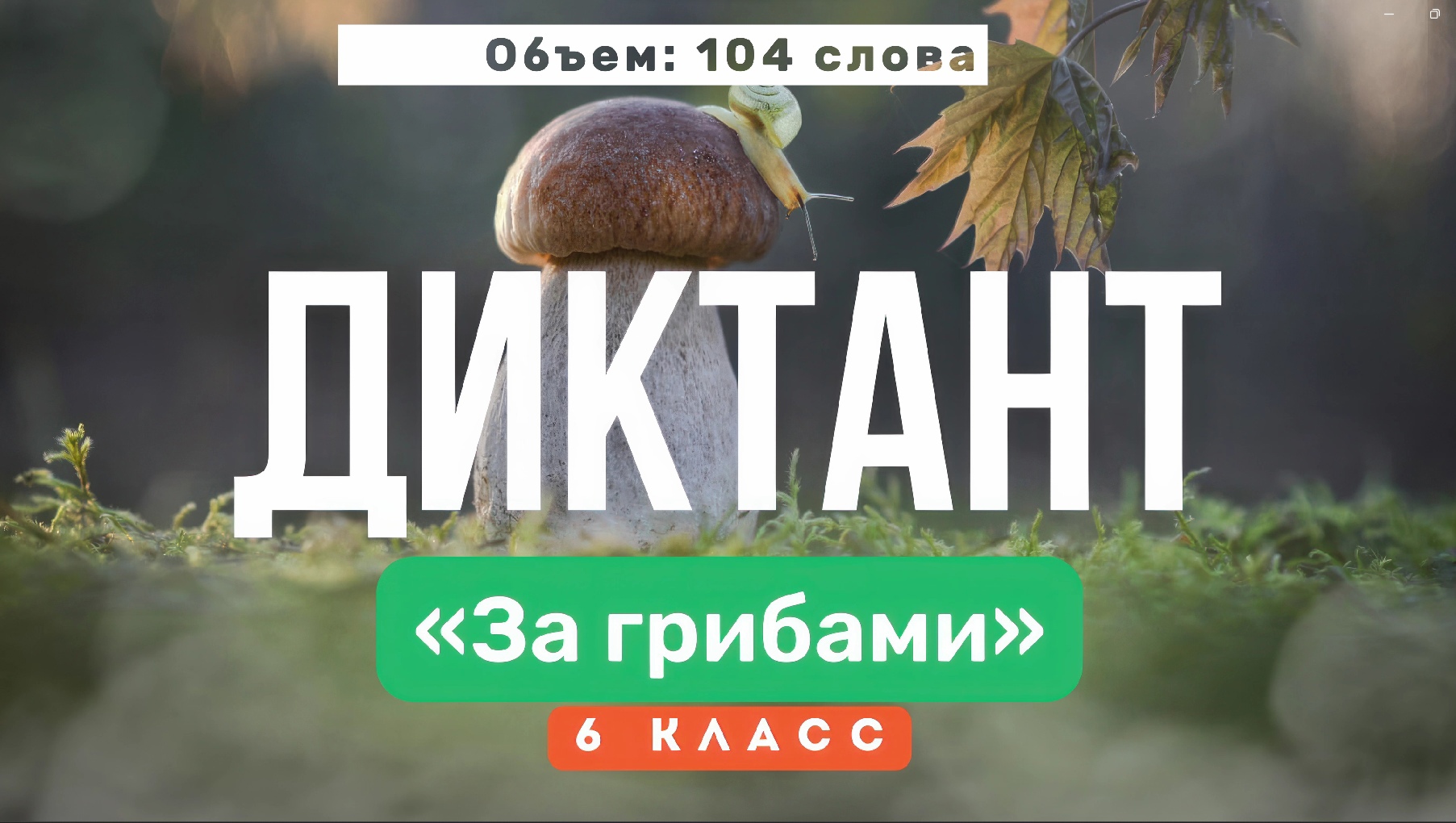 Входной ДИКТАНТ по русскому языку за 6 класс: «За грибами». Напишите текст под диктовку ?