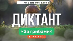 Входной ДИКТАНТ по русскому языку за 6 класс: «За грибами». Напишите текст под диктовку ?