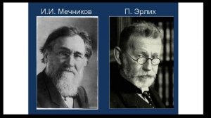 Лимфатическая и иммунная системы (часть 15) | Видеокурс Андрея Антонова "Основы физиологии человека