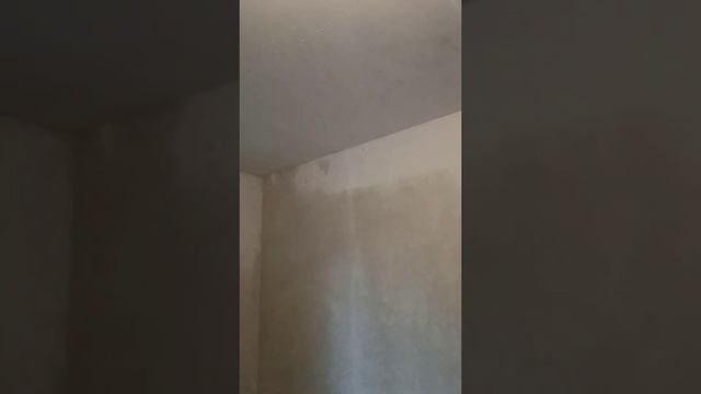 Монтаж гипсокартона или гвл на потолок, монтаж без напарника смотреть онлайн