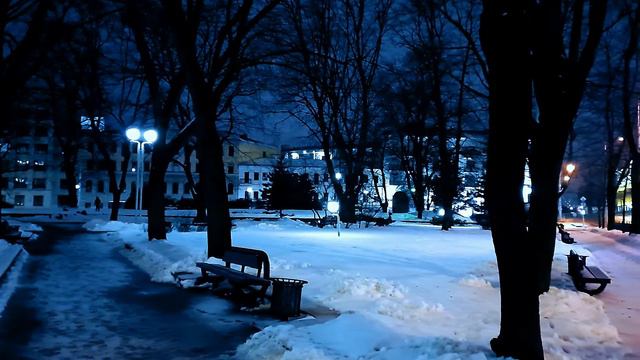 Футаж Зима. Красивая Зимняя Ночь в Городе. Красивый Зимний Парк. Футажи для Видеомонтажа Видеофутаж