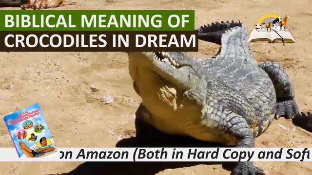 Biblical Meaning of CROCODILES (Alligators) in Dream - Dream About Crocodiles смотреть онлайн