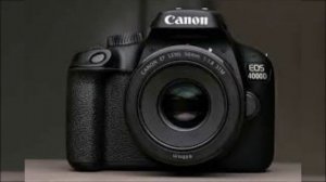 Лучшие недорогие зеркальные  фотоаппараты для                               начинающих 2021