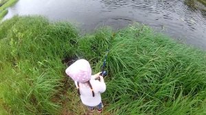 АЛИСА На рыбалке ! Что-то пошло не так ! / ALICE fishing ! Something went wrong ! )