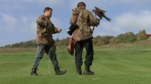 Cоколиная охота