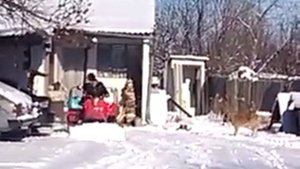 мотороллер муравей с отвалом