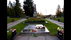 Синявинские высоты