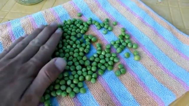 мега уловистый горох с медом для рыбалки смотреть онлайн