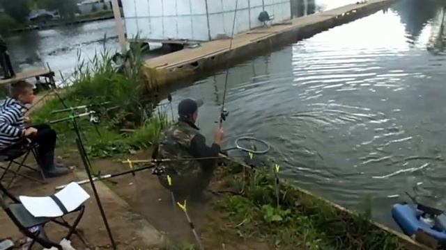 Платная рыбалка Пирогово - Коргашино смотреть онлайн