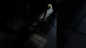VID-20230727-WA0011.mp4