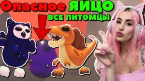 Получила всех НОВЫХ петов из ОПАСНОГО ЯЙЦА | DANGER EGG UPDATE ADOPT ME ROBLOX