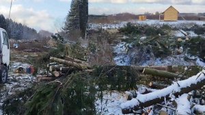 Расчистка участка. Спил деревьев и корчевка пней, измельчение веток в щепу, выравнивание.г.Подольс