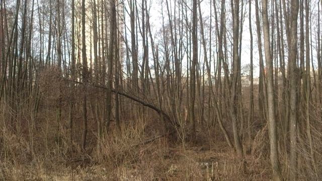 Почему нельзя злиться, на мёртвых смотреть онлайн