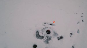 Рыбалка на жерлицы | Хорошее начало в новом году | Первый лёд