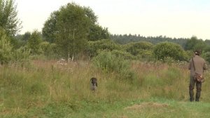 ДУПЕЛИНЫЙ ТОК и ОХОТА НА ДУПЕЛЯ