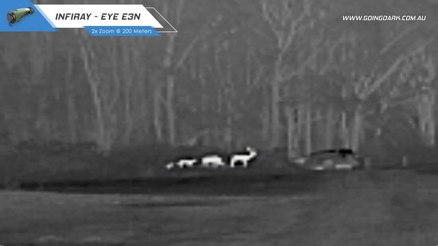 E3N InfiRay Picture Quality Review смотреть онлайн