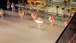 Баядерка 19 января 2019, Большой театр, кода Гамзатти