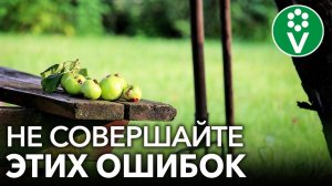 ТОП-10 ВРЕДНЫХ СОВЕТОВ ДЛЯ САДОВОДОВ, которыми пестрит интернет