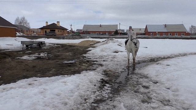 Лошадки и другие животные №10 смотреть онлайн