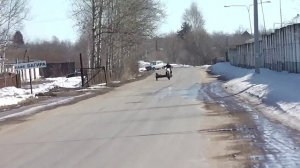 Урал чепер