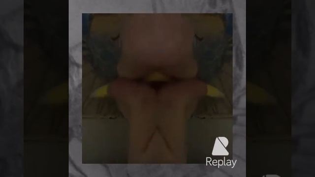 Быстрая рисовка Змеевика. смотреть онлайн