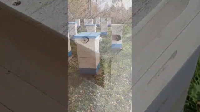 После обработки дым пушкой смотреть онлайн