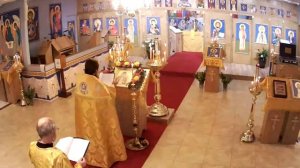 St Luke The Blessed Surgeon Russian Orthodox Church Live Stream. Archpriest Vasily Zelenyuk.