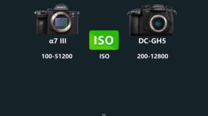 SONY Alpha a7 III vs Panasonic LUMIX GH5