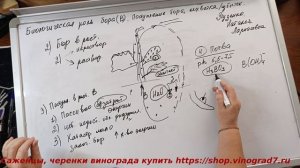 Опрыскивание бором перед цветением винограда. как определить нужен ли бор перед цветением?