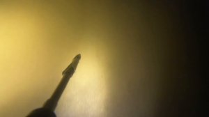 Подводная охота. Я испытал ШОК. Зимовальная яма ОГРОМНЫХ сазанов.